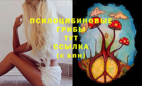 гашиш Богородицк