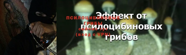 гашиш Богородицк