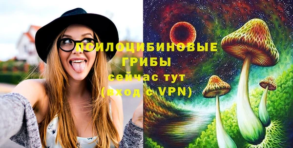 гашиш Богородицк