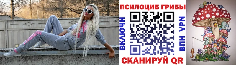 Галлюциногенные грибы прущие грибы  Курильск 